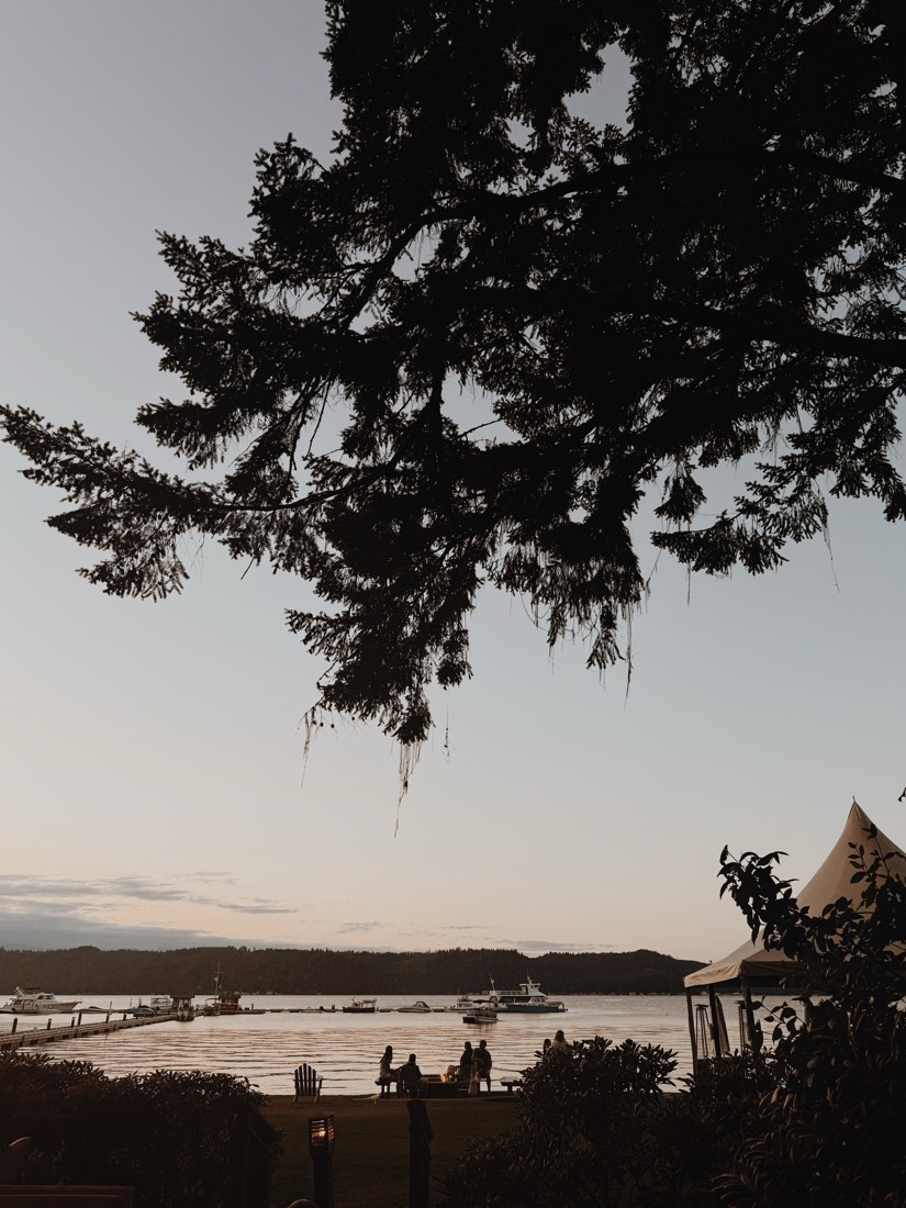 Sunset over the water, the tent and a fir branch in silhouette