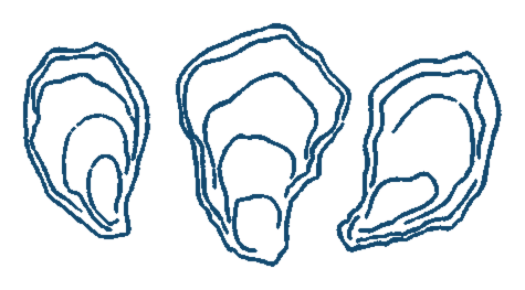 Three oyster shells drawn in navy line